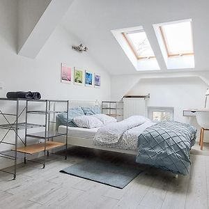 Lion Apartments